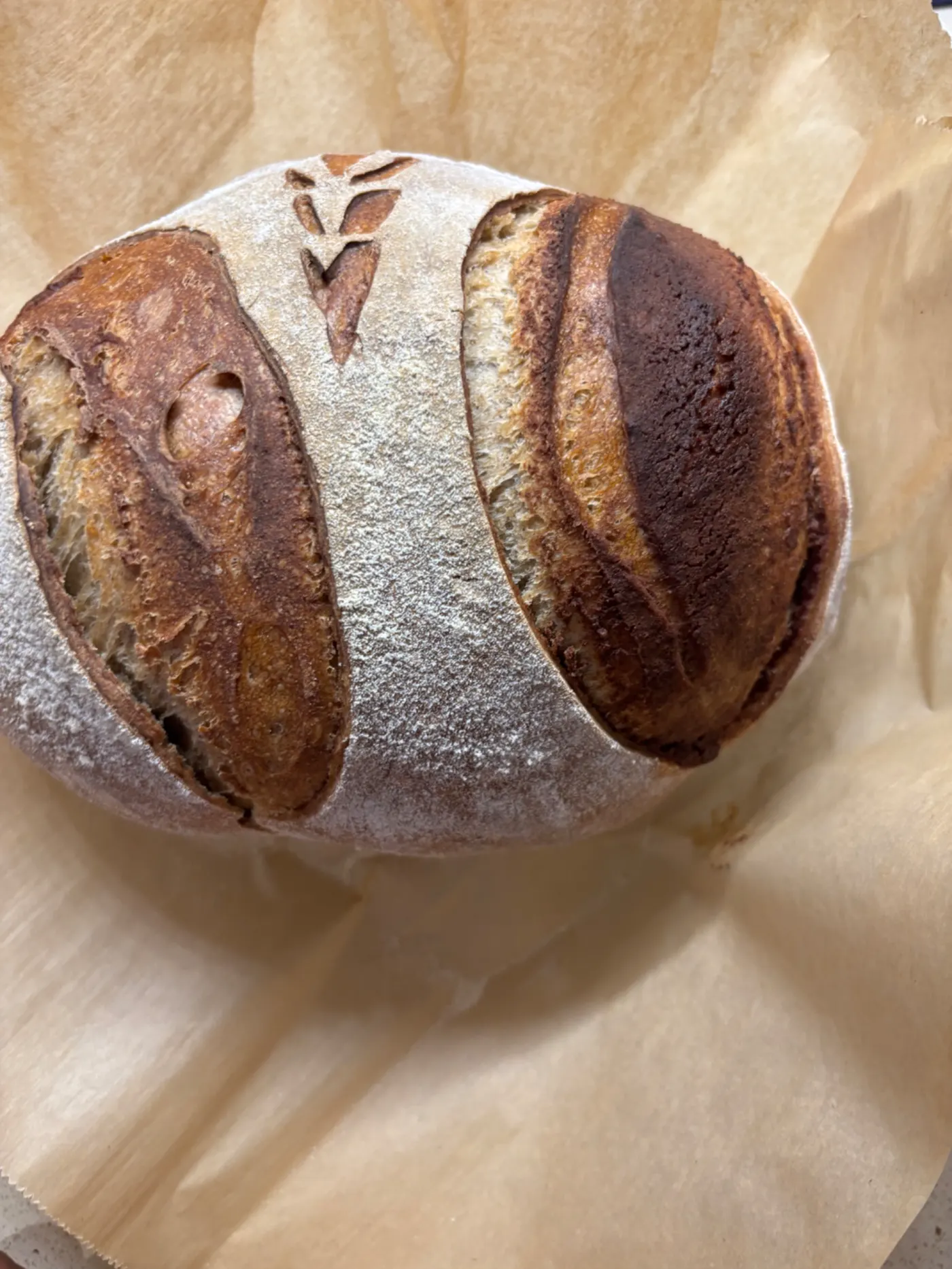 Beautifully scored round sourdough loaf